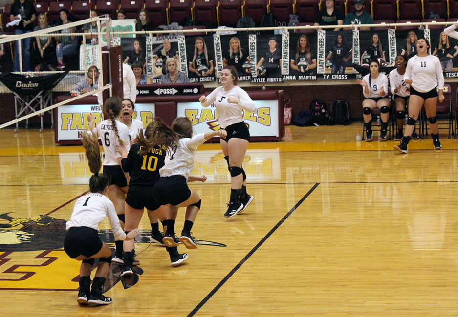 Cayuga Ladycats